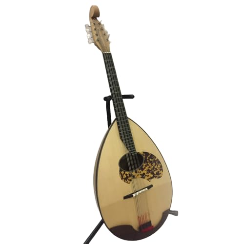 [エントリーモデル]マンドロンチェロ[No.292]/ 楽器 岐阜県 特産品