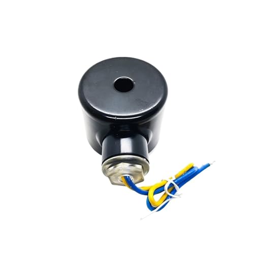 LKAHYUIBC Solenoid Valve, Solenoid Valve Normally Closed Coil 2W All Copper DN10-32 220 120 110 24V 12V(240VAC)