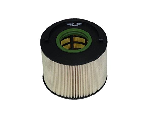 Purflux C529 Filtri Gasolio