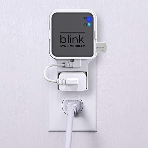 256GB USB Flash Drive for Local Video Storage with The Blink Sync Module 2 Mount (Blink Add-On Sync Module 2 is NOT Included)