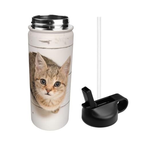  L  ˂ X|[c{g @r e q l  Xg[t ۉۗ  v[g Mtg