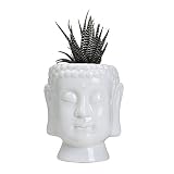 Forart Buddha Planter Ceramic Buddha Head Planter Pot Face Planter Zen Succulent Plant Pot Pencil Pen Holder Brush Holder Pot Home Office Room Decor