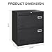 DKYNDSYN 2 Drawer Lateral File Cabinet with Lock for Home Office Metal Filing Cabinet with Adjustable Hanging Rod Horizontal Filing Organization Storage Cabinet for Letter/Legal/A4/F4 Size Black