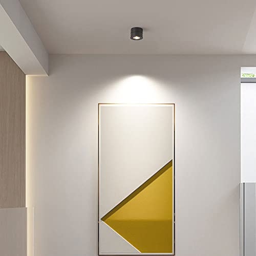 Foco de techo ajustable para eliminar zonas oscuras con luz giratoria 2