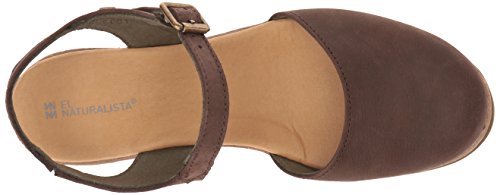 El Naturalista N5001