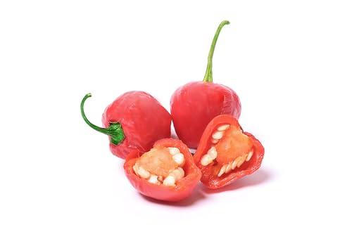 The Pickle Project - Dalle Khursani Pickle 450g | Hot & Spicy Dalle Chilli Pickle | No Artificial Preservatives | Homemade Fiery Red Chilli Pickle | Authentic Taste of Darjeeling