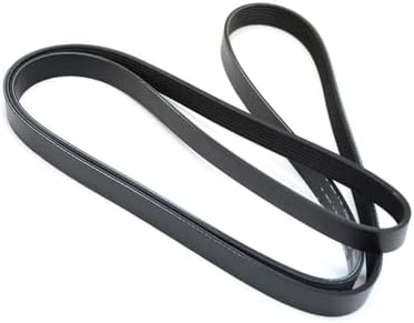 Mopar 5303 2307AC, Serpentine Belt