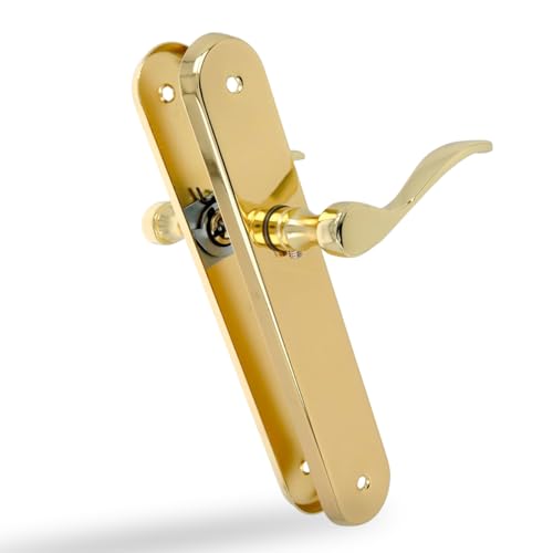 Amig - Lot de 2 poignées de porte | Manivelle fonctionnelle et ergonomique | Plaque ovale en acier et poignée de Zamak | Laiton verni | Sans trou de bouche | 237 x 40 x 55 mm