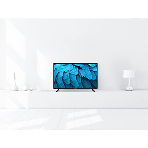 MEDION-P14042-Television-Full-HD-de-1016-cm-40-Pulgadas-HD-Triple-Tuner-3-x-HDMI-Reproductor-de-DVD-Integrado-USB-Temporizador-de-sueno-Reproductor-Multimedia-Ci
