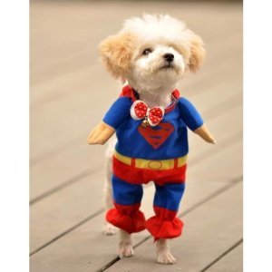 犬マン 楽天市場】マンダリンブラザーズ 犬 服 ダンボールニット