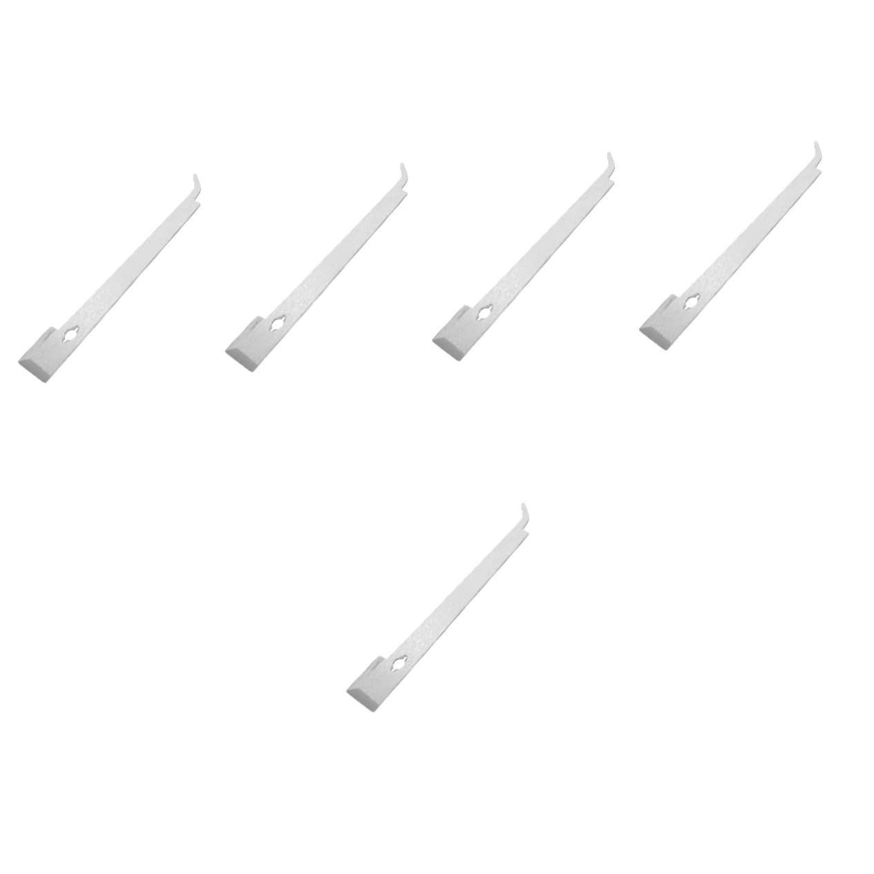 Didiseaon 5 Pezzi Di Strumenti Per L'Apicoltura Raschietto Per Apicoltore Raschietto Per Alimentatore Detergente Per Finestre Sicurezza Forniture Per L'Apicoltura Strumento