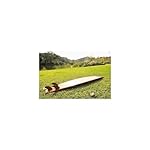 HomeStock Wooden Surfboard Longboard Handmade Stylish Fins Glossy Exterior Red Cedar Epoxy Surfboard - Image 4