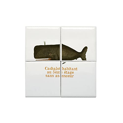 Carreaux céramique cachalot lot de 4 dalles décoratives 15x15 cm