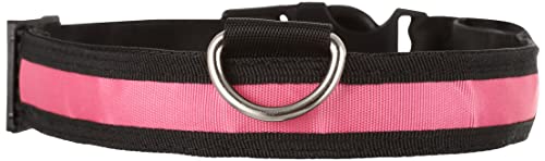 Collier LED chien rose étanche KABB rechargeable USB ajustement 65cm