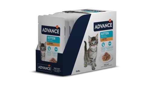 Advance Cibo Umido per Gattini con Pollo - Multipack 12