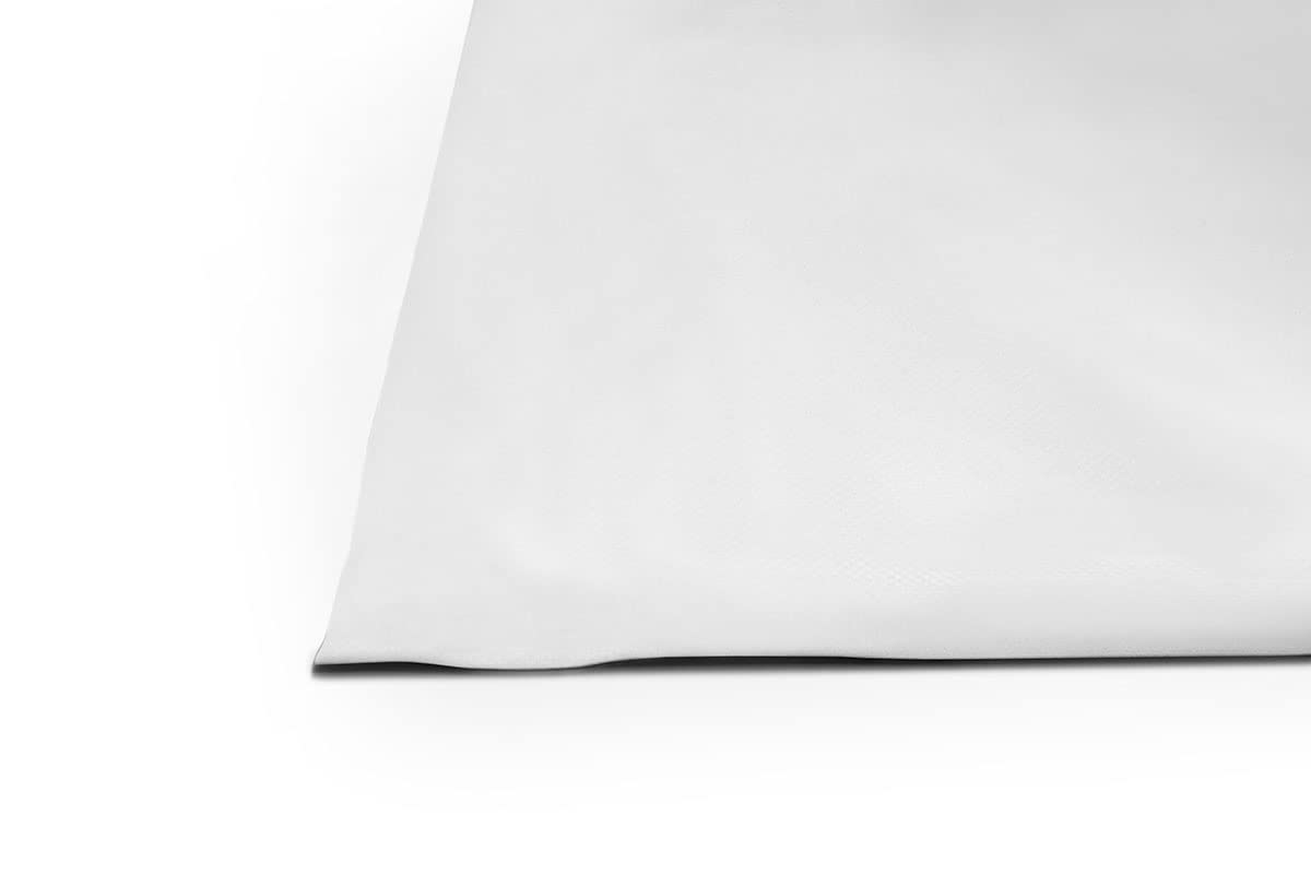 ANKO PLANEN Lona para Camiones 700g/m² Material PVC – Extra Fuerte – con Ojales y sin Ojales – Lona de Cobertura Premium (Blanco, 10m x 4m, sin Ojales)