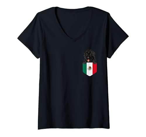 Womens Mexico Flag Bouvier des Flandres Dog In Pocket V-Neck T-Shirt, Black
