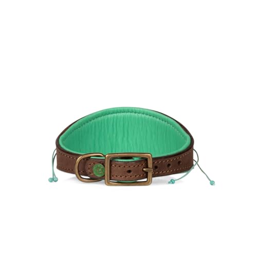 DWAM Hundehalsband – Hundehalsband – Türkis – Leder – S – 22–26 x 4 cm – Paddy Lee Windhund - Halsumfang zwischen 22-26 cm