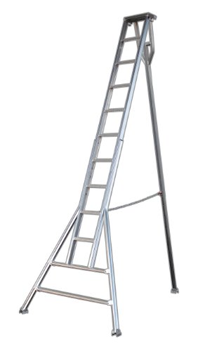 31BBV7vm7GL.jpg