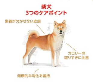 Amazon.co.jp: 【3kg】ロイヤ ルカナン 柴犬 成犬用 ドライフード 3kg