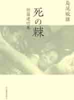 【限定550部作品の220番】島尾敏雄著　硝子障子のシルエット　葉篇小説集 硝子障子のシルエット: 葉篇小説集 (講談社文芸文庫 しB 2
