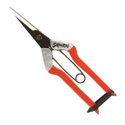 7 1/4C` TCXg[gu[h t[c&~ ΂ KS-55C - {