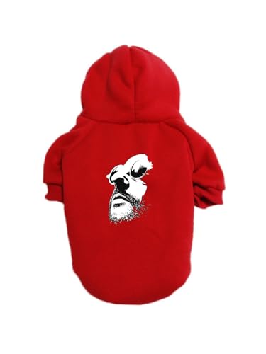 ybg I Leon }`_ f hbOEFA  ybgEFA p[J[ ^ ^ t@bV   ybgpi ʋC Eѕی U H~ {̔