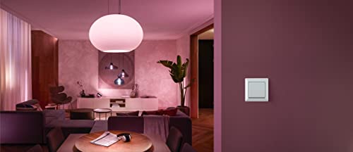 Module d'interrupteur mural Philips Hue Blanc en lot de 2 pour commande connectée - 5