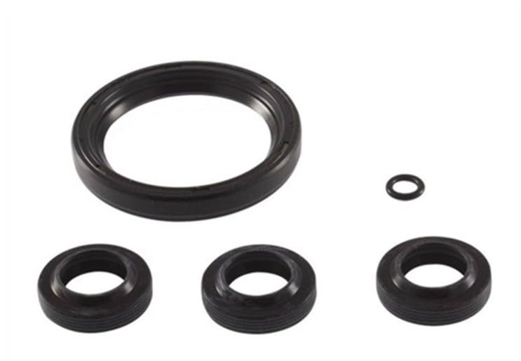 PARTSDEPOT Genuine Oil Seals Repair Kit AR2797 Compatible with Annovi Reverberi SJ XJ Pumps AR 2797