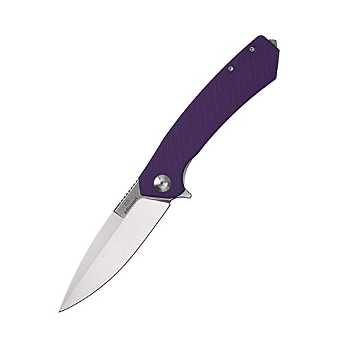 GANZO Firebird Adimanti Skimen Pocket Folding Knife G10 Handle with Clip and Glass Breaker D2 Steel Blade Hunting Fishing Camping Outdoor EDC Knife (Purple)