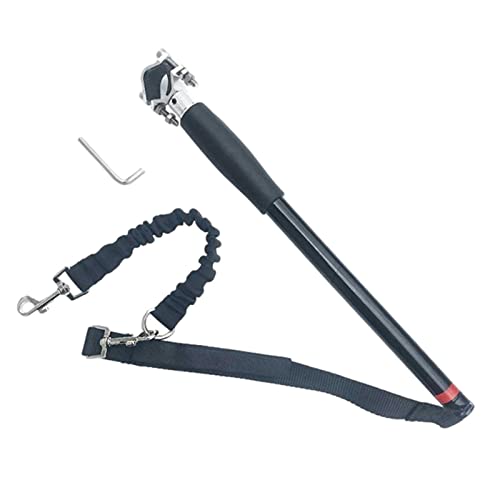Pipicat Soporte con Correa para Bicicleta
