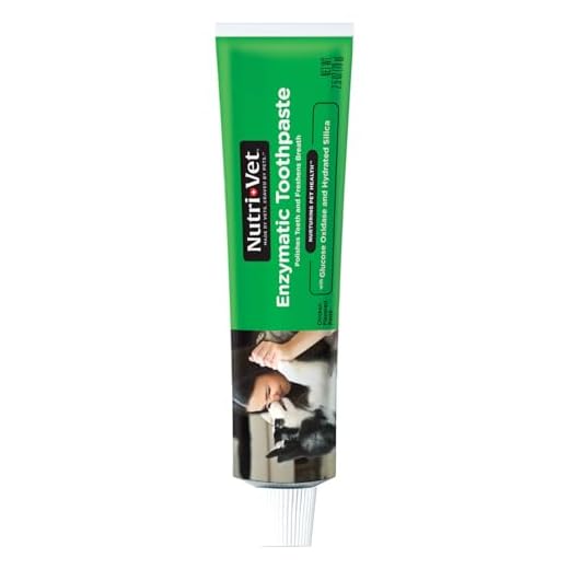 Nutri-Vet Enzymatic Toothpaste for Dogs | Non-Foaming Chicken Flavor | Promotes a Healthy Active Lifestyle | 2.5 Ounces