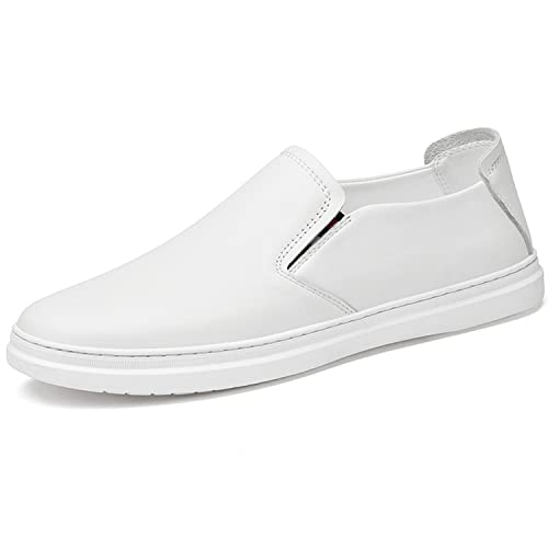 [J-WEWIN] [t@[ JWAV[Y Y y {v Xb| f amC fbLV[Y tbgV[Y ^]C A ʋ ʊw AEghA  _炩 ʋC h ϋv  zCg