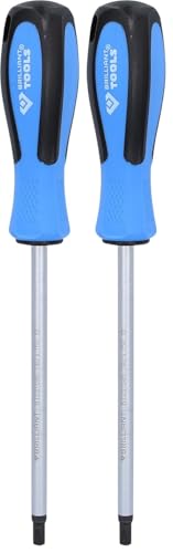 BRILLIANT TOOLS BT031045 Tournevis TORX, T40 x 150 mm [Powered by KS TOOLS] (Lot de 2)