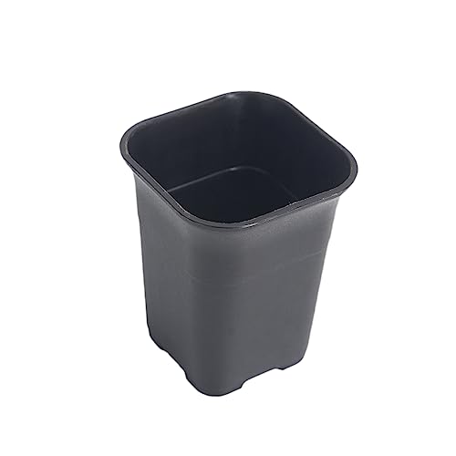 POPETPOP 10 pièces Pots de Fleurs Plastiques Épaissis Carrés Mini pour et Cactus Noir Petit Conteneur de Plantes avec Drainage Optimal