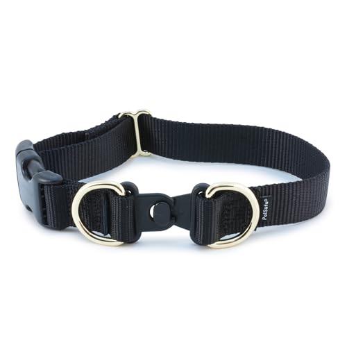 PetSafe KeepSafe Collar for Dogs - Protects Against Collar Accidents - Long Lasting - Durable - Adjustable - Breakaway - Outdoor-Safe - Medium - 1 in. Wide - Black