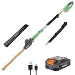 WORKPROX Tagliasiepi telescopico a Batteria 20V con Batteria da 2,0 Ah e Cavo di Ricarica Type-C, 2,8m Tagliasiepi Elettrico, Lunghezza Lama 45cm, Diametro di Taglio 18mm per Giardino, Siepi alte