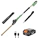 WORKPROX Tagliasiepi telescopico a Batteria 20V con Batteria da 2,0 Ah e Cavo di Ricarica Type-C, 2,8m Tagliasiepi Elettrico, Lunghezza Lama 45cm, Diametro di Taglio 18mm per Giardino, Siepi alte