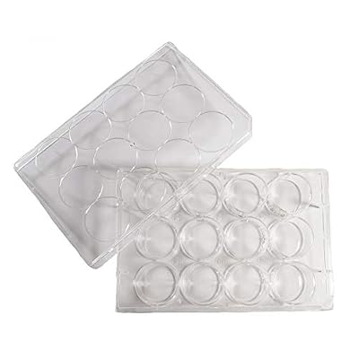 12 Well Treated Sterile Flat Tissue Culture Plate (50/Case)