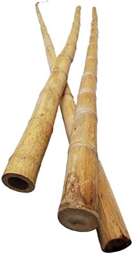 Empire Home Natural Thick Bamboo Stakes About 6 Feet Tall 1.5 Inch Diameter - Pack of 3 (Natural Yellow)