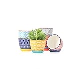 Selamica Ceramic Succulent Pots, 3.5 Inch Small Plant Pots for Indoor Plants Cactus Herbs, Succulent Planters with Drainage Holes & Saucers, Home Decor, Set of 6, Assorted Colors
