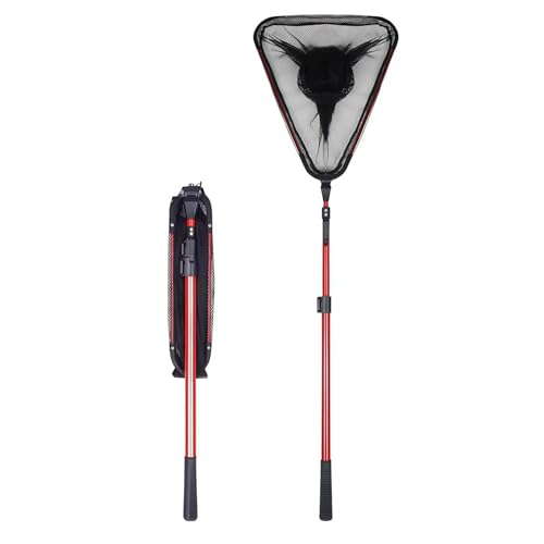  ^ Lk^ ނ ^ Op܂ݏԃtZbgLk_A~jEԊƒyʍd啨gтԃ|Pbg(C,2.5 mbh+50 cmbVwbh)