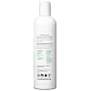 Carina Organics Lavender Shampoo & Body Wash