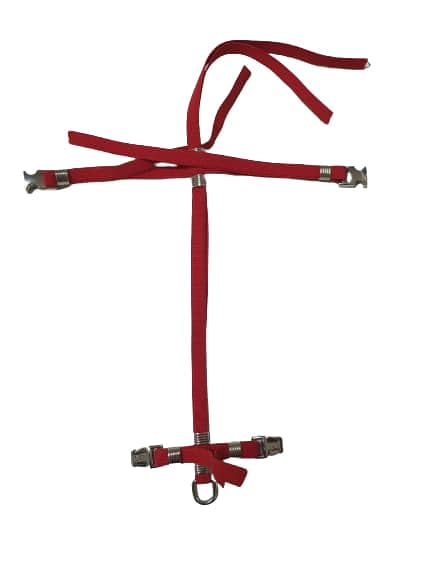 Peigne réglable CACATUE pour vos sessions techniques de mesure plongée - 3