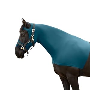 RESISTANCE Premium Horse Hood Pull On-Face with Forelock Saver – Horse Sleazy Slickers and Horse Care Sheet