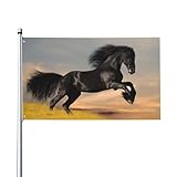 caballo frison en venta barcelona Artesanía especial: la doble costura hace que los bordes de la bandera sean más artísticos y fuertes. Apreciarás plenamente la artesanía y la calidad de esta bandera después de usarla durante mucho tiempo. Lavar a mano, lavable a máquina, pero no usar lejía la bandera de jardín.