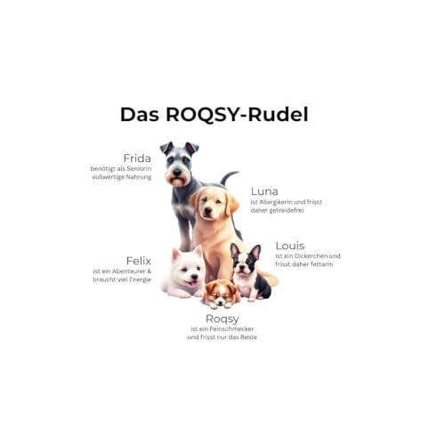 ROQSY Natur-Dörrfleisch 100% Ziege – Single-Protein, getreidefrei, ohne Zusätze, schonend getrocknet, ideal für Allergiker und Sensible Mägen, Made in Germany – 100g
