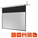 celexon Leinwand Motor Professional 220 x 124 cm - 9