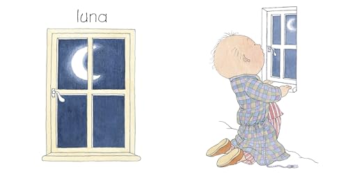 Vedo. Ediz. A Colori - 3