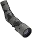 Leupold SX-2 Alpine HD 20-60x60mm Angled Spotting Scope in Shadow Gray Finish